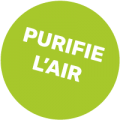 purifie l'air